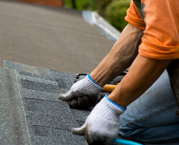 Roof Repair Estimates in Bronson, FL